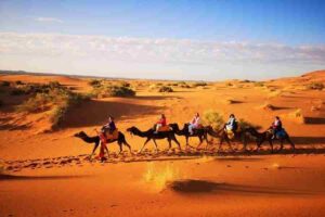 11 Days Morocco Discovery Tour from Casablanca