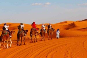 2 Days Morocco Desert Tour From Fes to Marrakech
